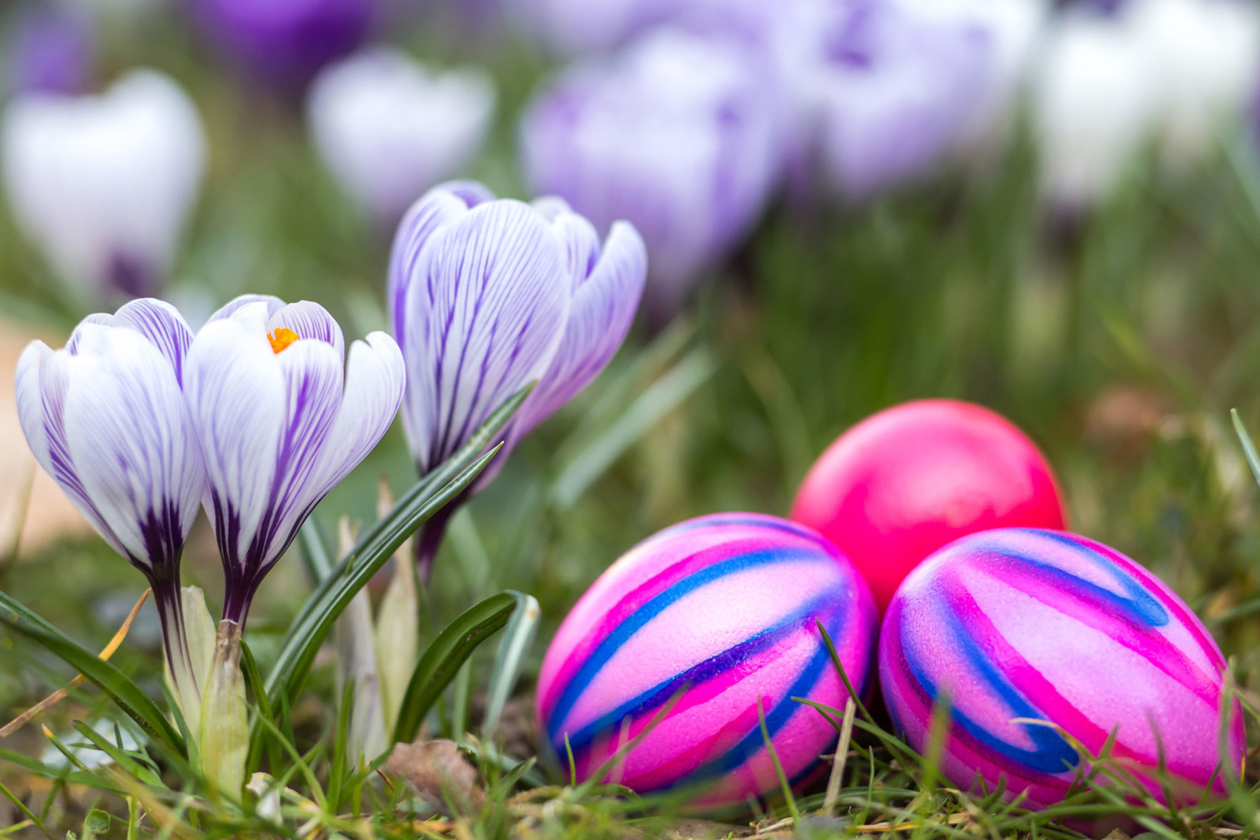 Have an indoor Easter egg hunt